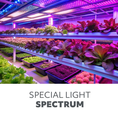 LED PLANTY W 9W E27
