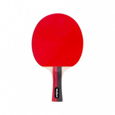 Set na stolný tenis Talent | 2 rakety, 3x loptičky a sieťka