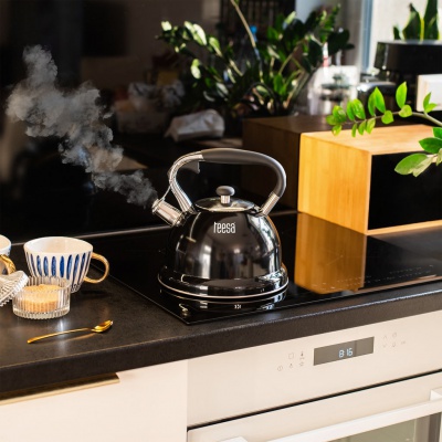 Kanvica z nehrdzavejúcej ocele s píšťalkou 3L