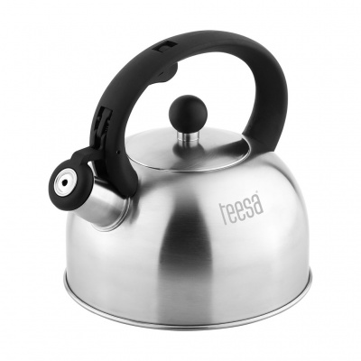 Kanvica z nehrdzavejúcej ocele s píšťalkou 2L