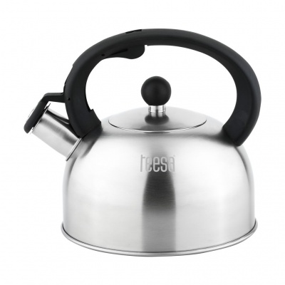 Kanvica z nehrdzavejúcej ocele s píšťalkou 2L