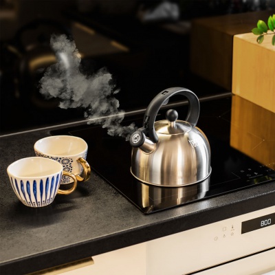 Kanvica z nehrdzavejúcej ocele s píšťalkou 2L