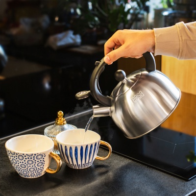 Kanvica z nehrdzavejúcej ocele s píšťalkou 2L