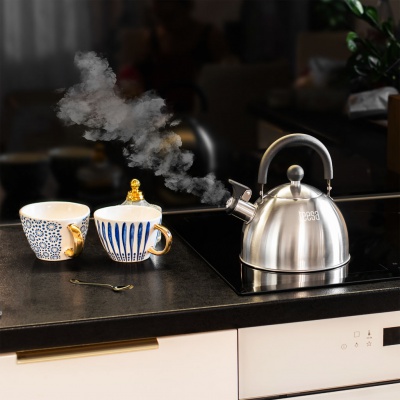 Kanvica z nehrdzavejúcej ocele s píšťalkou 1,8L