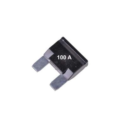 Autopoistka MAXI 100A (10ks)