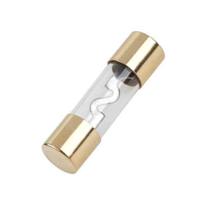 Autopoistka  AGU 40A (5ks)  10x38mm
