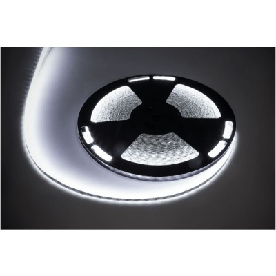 Led pás 1500x5050 SMD LED, biely (studený), 25m, IP65