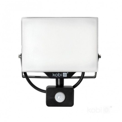 LED Reflektor DELYO MHN 50W 6000K IP54 Premium