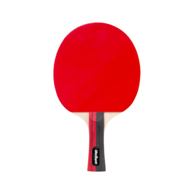 Set na stolný tenis Talent | 2 rakety, 3x loptičky a sieťka