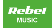 Rebel MUSIC
